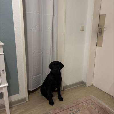 Ich suche Ideen zum Absichern-Beitrag-Bild