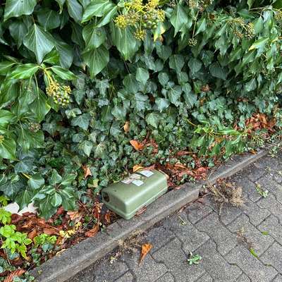 Giftköder-Rattengift Box Parkplatz vor Rewe-Bild