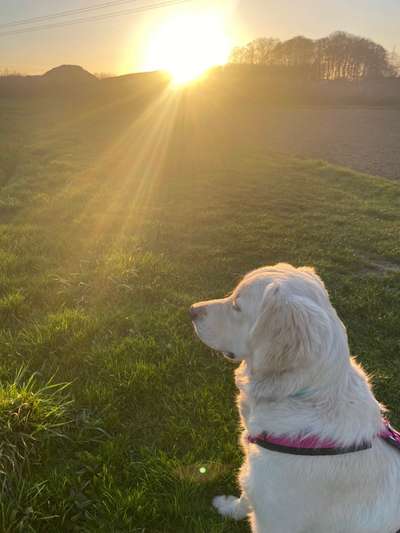 Farben Fotochallenge Sonnenlicht-Beitrag-Bild