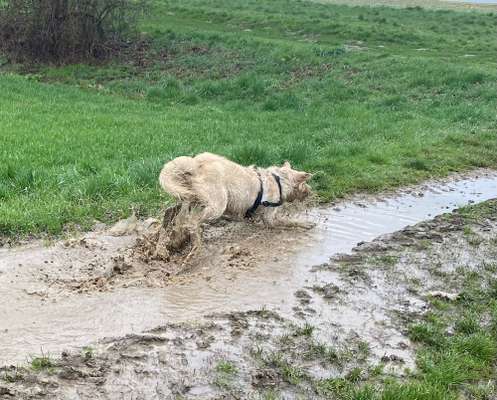 Eure schönsten Fotos mit Wasser-Beitrag-Bild