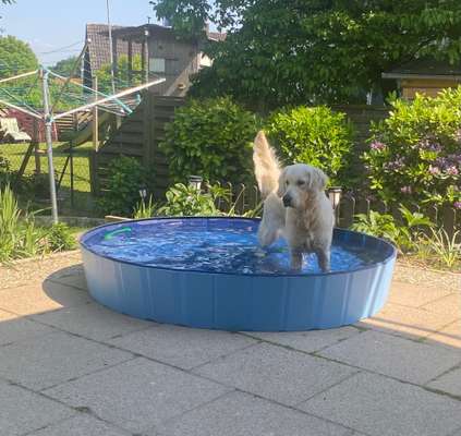 Eure schönsten Fotos mit Wasser-Beitrag-Bild