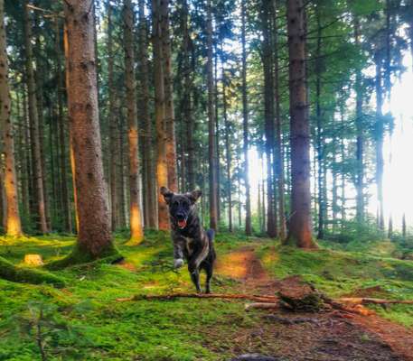 Fotochallenge Nr. 52 „Spring!“-Beitrag-Bild