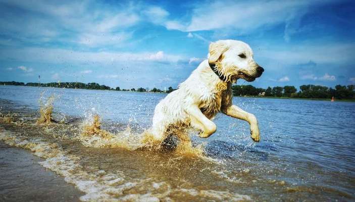 Foto Challenge - BEENDET - bitte aktuelle Challenge nutzen-Beitrag-Bild