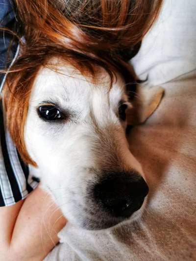 Fotochallenge No. 5-Beitrag-Bild