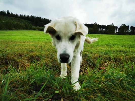 Fotochallange Nr. 6 Die irrsten Blicke-Beitrag-Bild