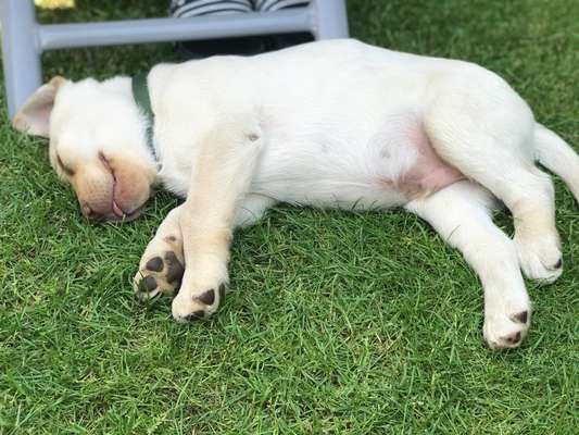 Foto Challenge - Zeigt her eure Bäuche-Beitrag-Bild