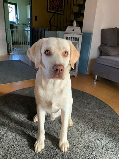 147. Foto Challenge: Bettelblick-Beitrag-Bild