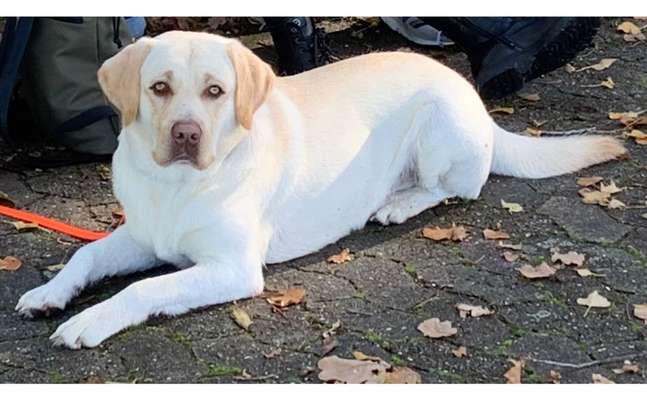 Zeigt eure Portraits-Beitrag-Bild