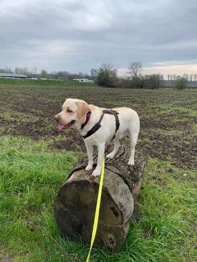 57. Handy Foto Challenge - klettern-Beitrag-Bild