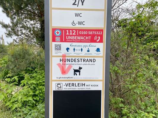 Usedom Hundestrand-Beitrag-Bild