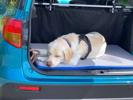 117. Fotochallenge-Beitrag-Bild