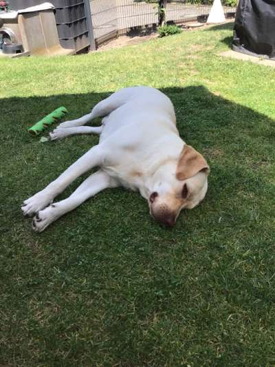 140. Foto Challenge - schattiges Plätzchen-Beitrag-Bild