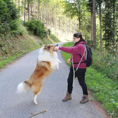 Hundmenschfotos-Beitrag-Bild