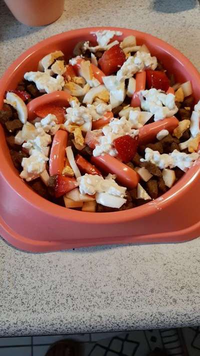 Zeigt her Eure Futternäpfe-Beitrag-Bild