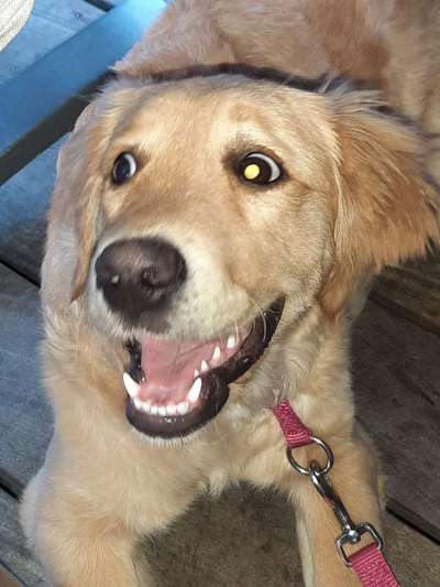 Handy-foto Challange nr. 11-Beitrag-Bild