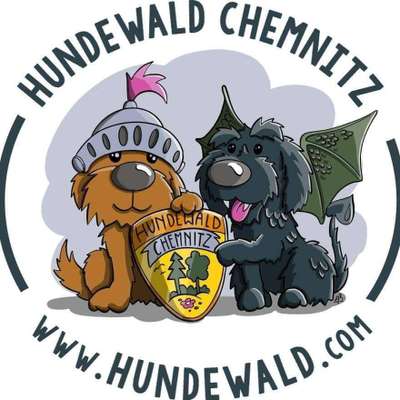 Hundeauslaufgebiet-Chemnitzer Hundewäldchen-Bild