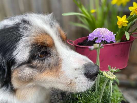 Fotochallenge No. 26                                     Wald und Wiese-Beitrag-Bild