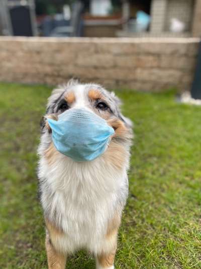 Fotochallenge Nr. 29 - Accessoires-Beitrag-Bild