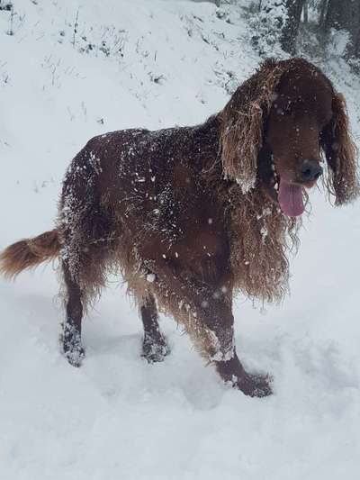 Challenge Nr. 15
Spiel im Schnee-Beitrag-Bild