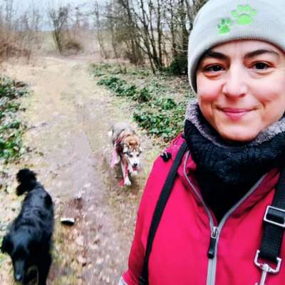 Hundetreffen-Walking around planetarium