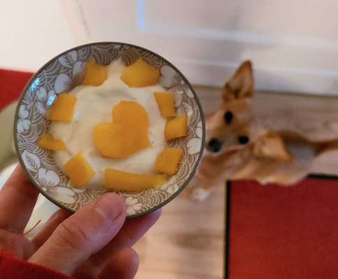 Zeigt her Eure Futternäpfe-Beitrag-Bild