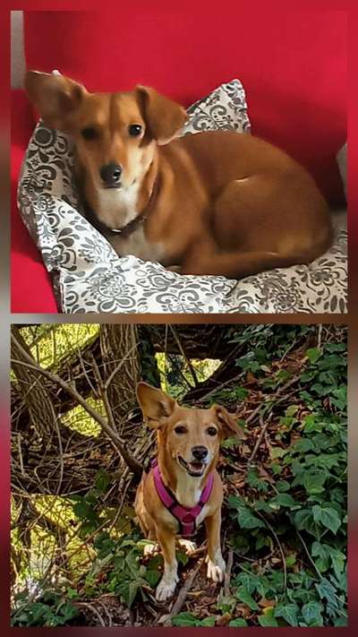 Ach, wie schnell die Zeit vergeht-Beitrag-Bild