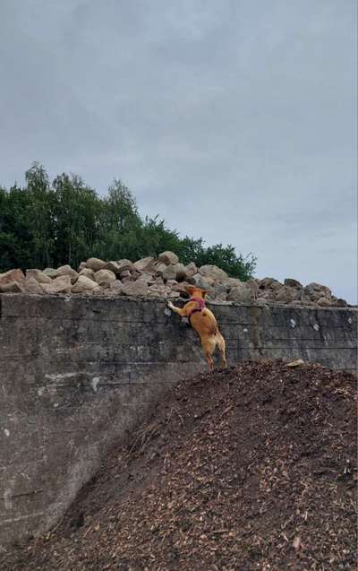 64. Handy Foto Challenge - Hoch hinaus-Beitrag-Bild