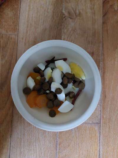 Zeigt her Eure Futternäpfe-Beitrag-Bild