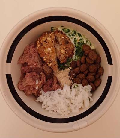 Zeigt her Eure Futternäpfe-Beitrag-Bild