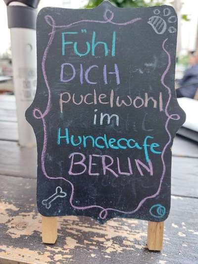 Zeigt her Eure Futternäpfe-Beitrag-Bild