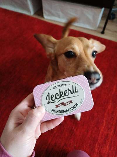 Der "perfekte" Futterbeutel.-Beitrag-Bild