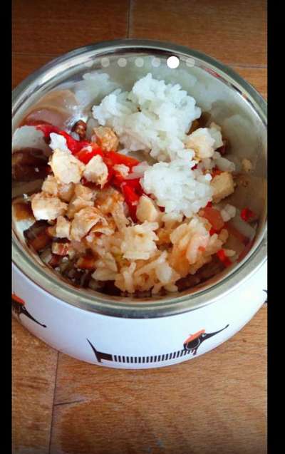 Zeigt her Eure Futternäpfe-Beitrag-Bild