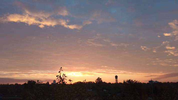 Die wunderschöne Welt mit Hund.-Beitrag-Bild