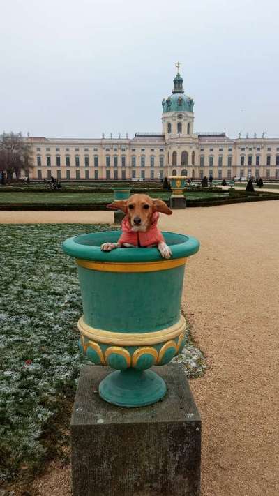 121. Fotochallenge-Beitrag-Bild