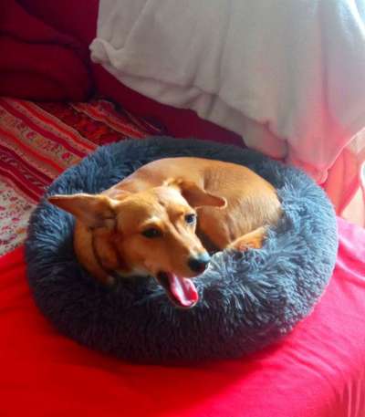 Erfahrung mit Wolkenbett-Beitrag-Bild