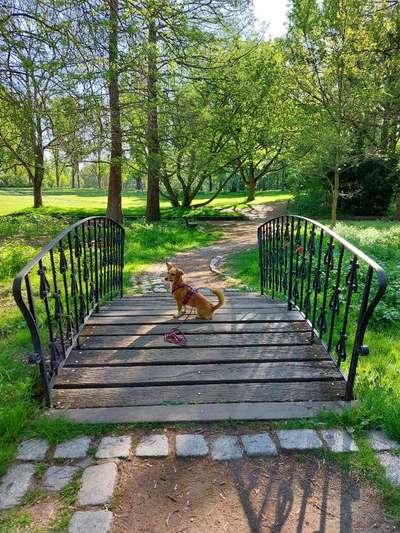 Foto Challenge Thema "Brücke"-Beitrag-Bild