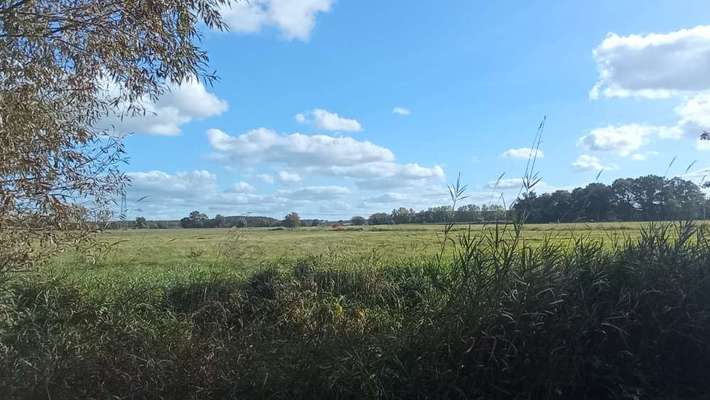 Die wunderschöne Welt mit Hund.-Beitrag-Bild