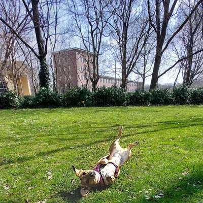 "Die eingefangene Magie des Augenblicks"-Beitrag-Bild