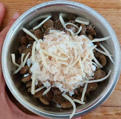 Zeigt her Eure Futternäpfe-Beitrag-Bild