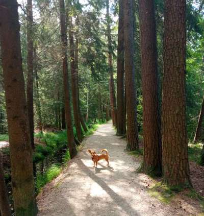 Dogorama Photo Challenge - Tierischer Urlaub-Beitrag-Bild