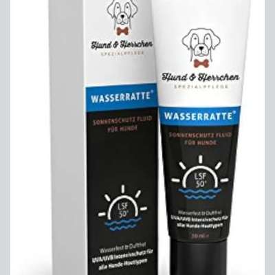 Sonnencreme für Hunde-Beitrag-Bild