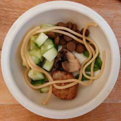 Zeigt her Eure Futternäpfe-Beitrag-Bild