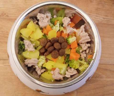 Zeigt her Eure Futternäpfe-Beitrag-Bild