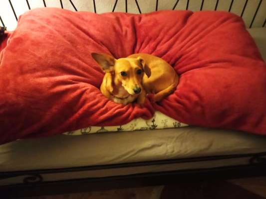 Blick fürs Detail!-Beitrag-Bild