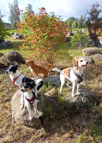 Foto Challenge Nr.: 115-Beitrag-Bild