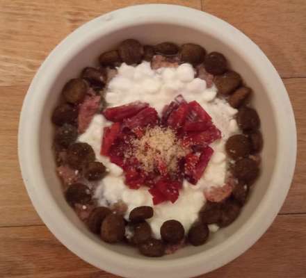 Zeigt her Eure Futternäpfe-Beitrag-Bild