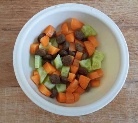 Zeigt her Eure Futternäpfe-Beitrag-Bild