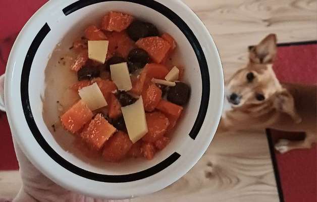 Zeigt her Eure Futternäpfe-Beitrag-Bild