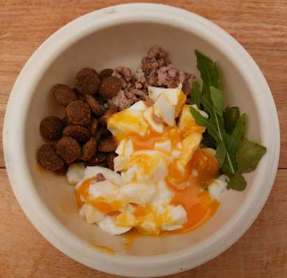 Zeigt her Eure Futternäpfe-Beitrag-Bild