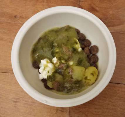 Zeigt her Eure Futternäpfe-Beitrag-Bild